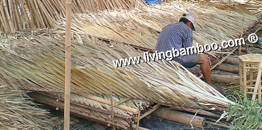 Coconut ROOF PANEL